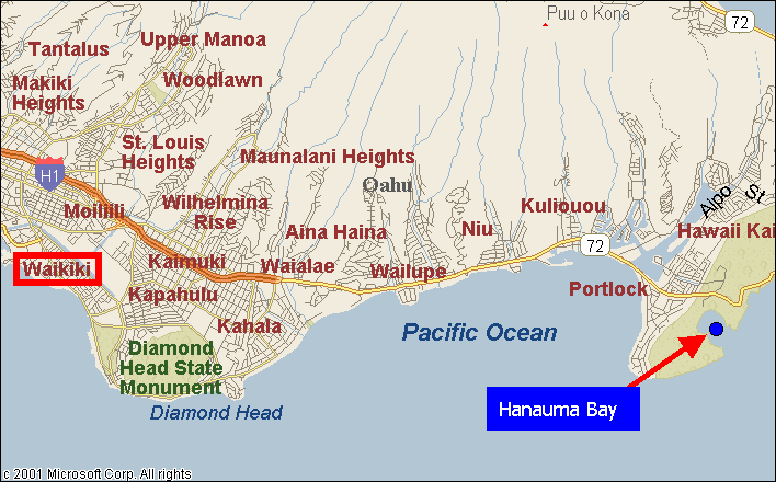 Hanauma Bay